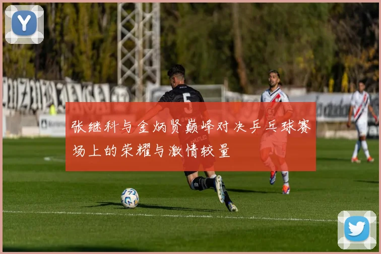 张继科与金炳贤巅峰对决乒乓球赛场上的荣耀与激情较量