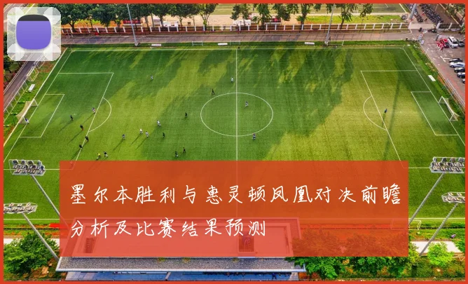 墨尔本胜利与惠灵顿凤凰对决前瞻分析及比赛结果预测
