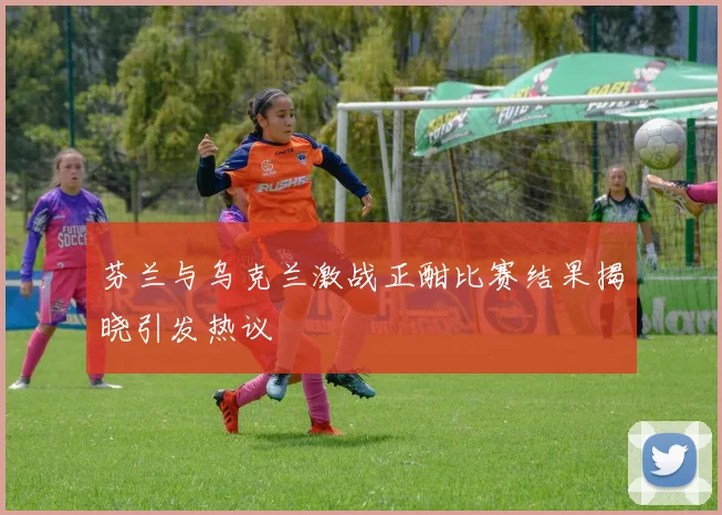 芬兰与乌克兰激战正酣比赛结果揭晓引发热议