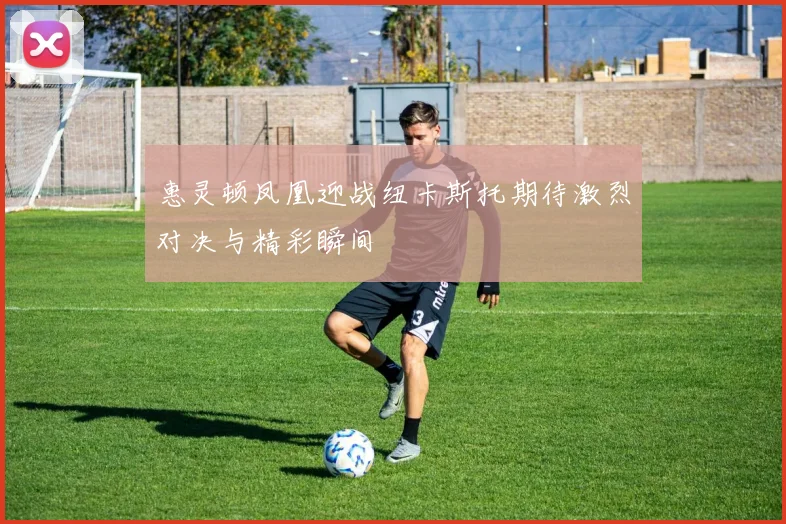 惠灵顿凤凰迎战纽卡斯托期待激烈对决与精彩瞬间