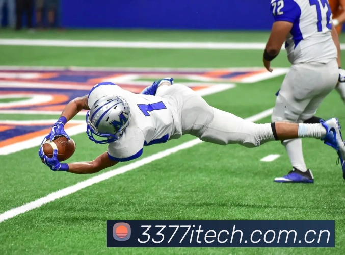 3377体育服务体系